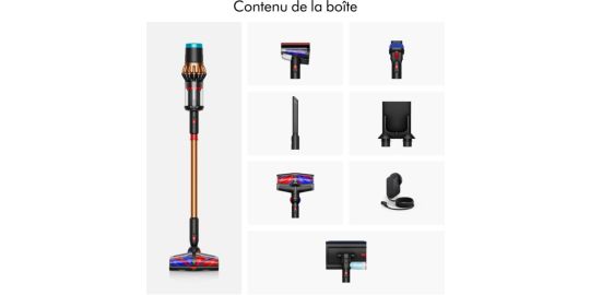 Aspirateur balai DYSON Piston Animal Submarine