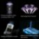 Location Aspirateur balai DYSON V10 Cyclone Submarine