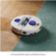 Location Robot Aspirateur Laveur DYSON R2 Nurovi Wash & Dry