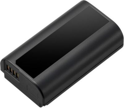 Batterie appareil photo PANASONIC Batterie DMW-BLJ31E pour S1/S1R