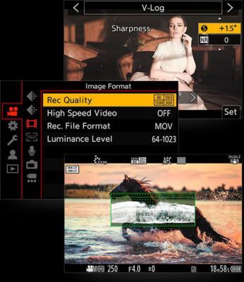 Logiciel PANASONIC Mise à jour logicielle VLOG DMW-SFU2 pou