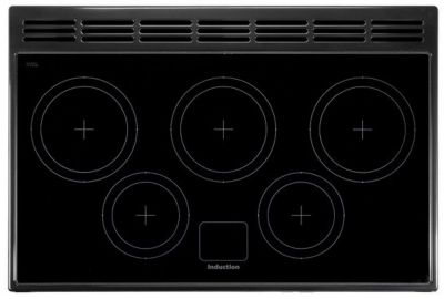 Piano de cuisson induction FALCON DELUX110 INDUC NOIR LAITON
