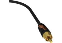 Câble subwoofer QED 6M