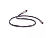 Câble Coaxial QED 1M Graphit