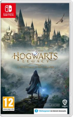 Jeu Switch WARNER HOGWARTS LEGACY SWITCH