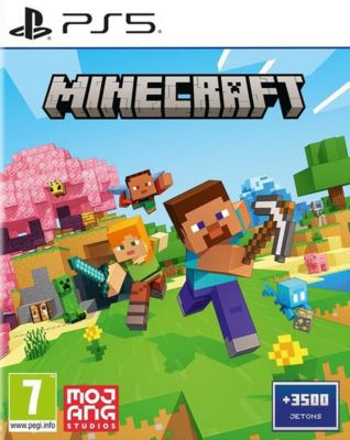 Jeu PS5 FLASHPOINT Minecraft