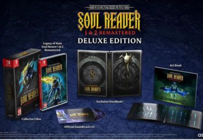 Jeu Switch FLASHPOINT Legacy Of Kain Soul Reaver 1&2