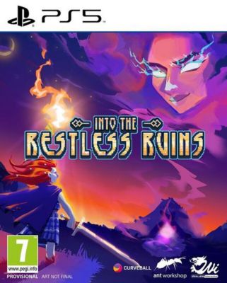 Jeu PS5 MICROIDS Into The Restless Ruins