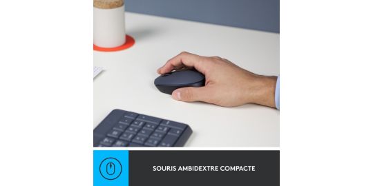 Clavier + Souris LOGITECH MK235 sans fil silencieux