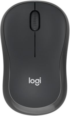 Logitech M240 Souris Bluetooth, Sans fil, Compacte, Portable, Suivi fluide,  Batterie 18 mois, Windows, macOS, ChromeOS, Convient à PC, Mac, Ordinateur  portable, Tablettes - Rose : : Informatique