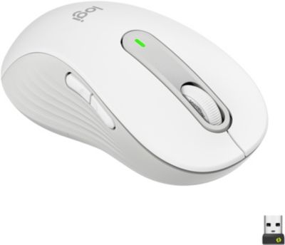 Souris Sans Fil - Asus Wireless Mouse Md100 - Ambidextre à Prix Carrefour