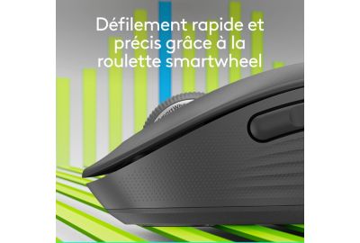 Souris sans fil LOGITECH SIGNATURE PLUS M750 L