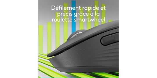 Souris sans fil LOGITECH SIGNATURE PLUS M750 L