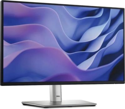 Ecran PC DELL Dell P2425H - Moniteur IPS 24" - Full HD