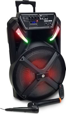 Enceinte sono FESTISOUND FESTI15