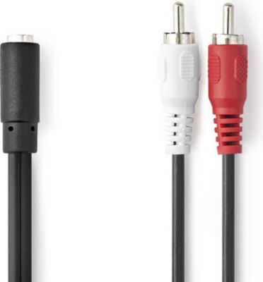 Câble Jack/RCA NEDIS 2 RCA vers jack 3,5 mm femelle 20 cm