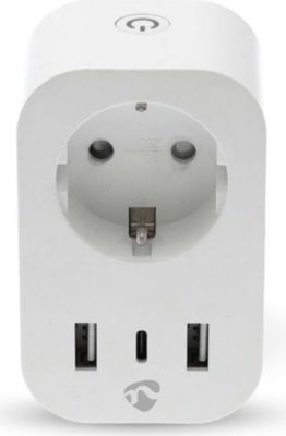 Prise connectée NEDIS Wi-Fi Wattmètre 3680W avec Ports USB-A