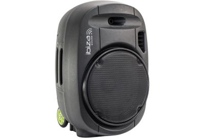 Enceinte IBIZA PORT12VHF-MKII