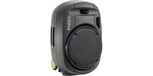 Enceinte IBIZA PORT12VHF-MKII