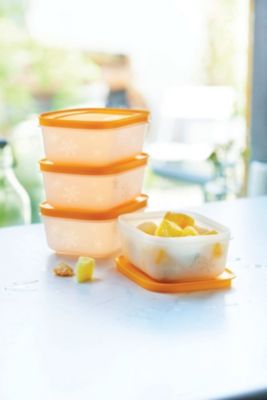 Boîte alimentaire TUPPERWARE Set Igloo x4 450 ml