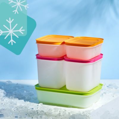 Boîte alimentaire TUPPERWARE Boites Igloo