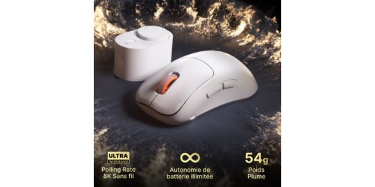 Souris Gamer Sans Fil STEELSERIES Rival Pro WL Blanche