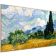 Location TV Mini LED TCL 55A400 PRO (2026) 55" (140 cm)