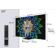 Location TV Mini LED TCL 65A400U (2026) 65 (165 cm)