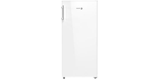 Réfrigérateur 1 porte FAGOR FSP170EW