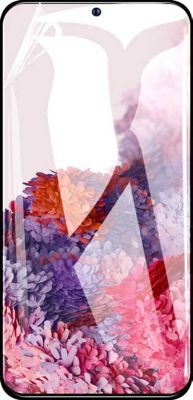 Protège écran VISIODIRECT Film avant souple pour Samsung S20 FE