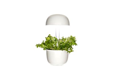 Jardin int PLANTUI 3E Smart Garden blanc