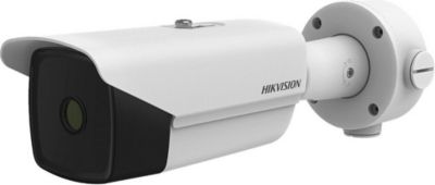 Caméra de sécurité HIKVISION Caméra de surveillance IP Thermique 2TD