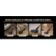 Location Aspirateur laveur TINECO pliable Floor One S7 Fold Elite Noir