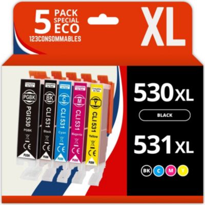 Cartouche d'encre 123CONSOMMABLES CANON PGI530/CLI531
