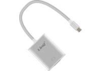 Câble USB C LINQ USB-C Mâle vers VGA Hub Vidéo
