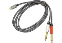 Câble Jack LINQ USB-C vers 2x Jack 6.35mm Mâle 1.5m Gris