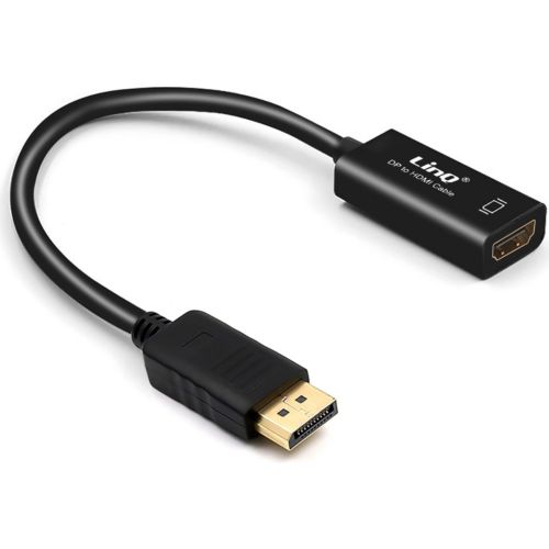 Adaptateur Displayport/HDMI LINQ DisplayPort Mâle - HDMI Femelle FHD 3D