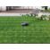 Location Tondeuse gazon robot ECOVACS GOAT O1200 RTK EU