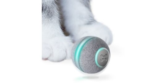 Jouet CHEERBLE Interactive Ball M1 gray