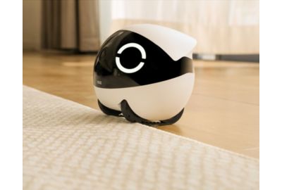 Jouet ENABOT Robot Rola Mini Companion