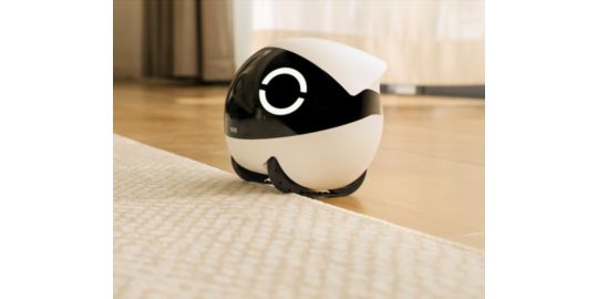 Jouet ENABOT Robot Rola Mini Companion