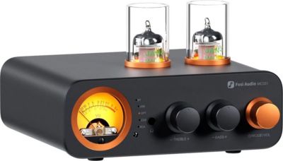 Amplificateur HiFi FOSI AUDIO MC331