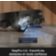 Location Robot Aspirateur Laveur MOVA S70 Ultra Roller Black