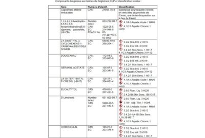 Parfum aspirateur ELECTROLUX ESBA senteur Forêt de bambou