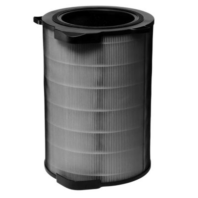 Filtre ELECTROLUX H13 et charbon EFDCLN6E