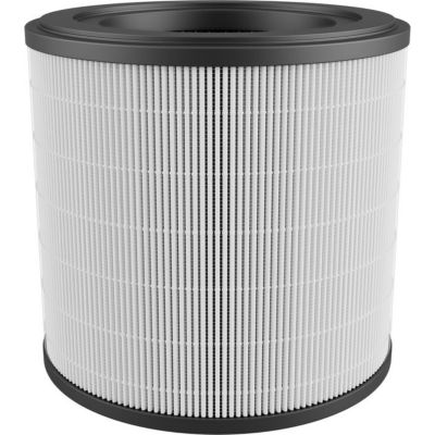 Filtre ELECTROLUX H13 EFFCAR2