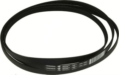 Courroie ELECTROLUX courroie 1936h7 poly v