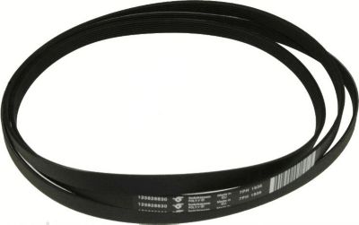 Courroie ELECTROLUX courroie 1936h7 poly v Courroie ELECTROLUX courroie 1936h7 poly v