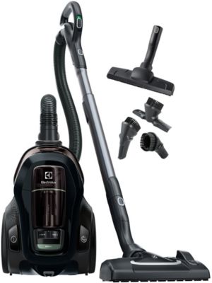 Aspirateur sans sac ELECTROLUX Pure C9 PC91-Green