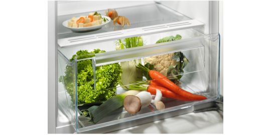 Réfrigérateur 1 porte encastrable ELECTROLUX EFB3DE12S